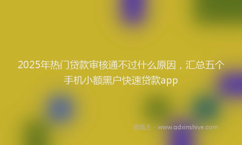 2025年热门贷款审核通不过什么原因，汇总五个手机小额黑户快速贷款app