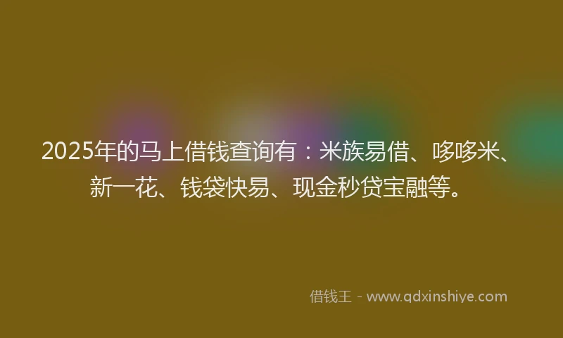 2025年的马上借钱查询有：米族易借、哆哆米、新一花、钱袋快易、现金秒贷宝融等。