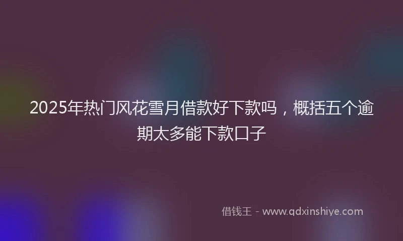 2025年热门风花雪月借款好下款吗，概括五个逾期太多能下款口子