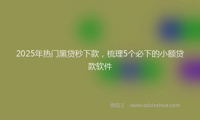 2025年热门黑贷秒下款，梳理5个必下的小额贷款软件