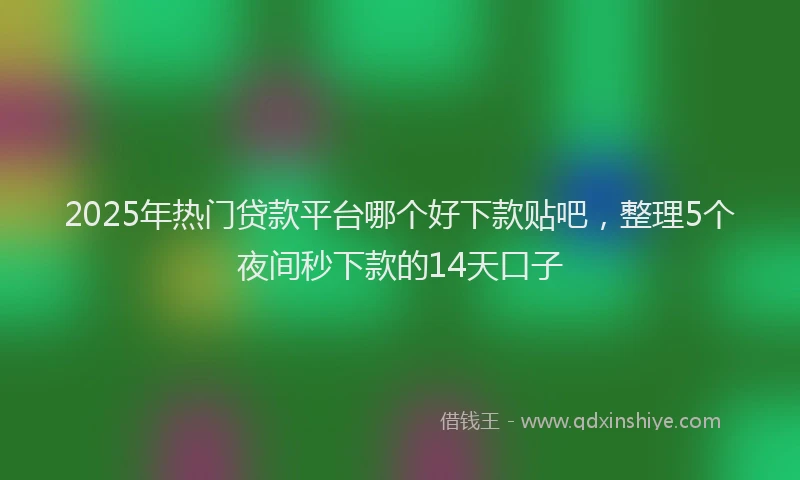2025年热门贷款平台哪个好下款贴吧，整理5个夜间秒下款的14天口子