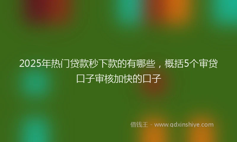 2025年热门贷款秒下款的有哪些，概括5个审贷口子审核加快的口子
