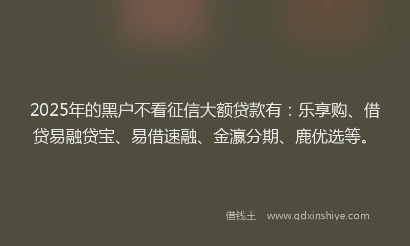 2025年的黑户不看征信大额贷款有：乐享购、借贷易融贷宝、易借速融、金瀛分期、鹿优选等。