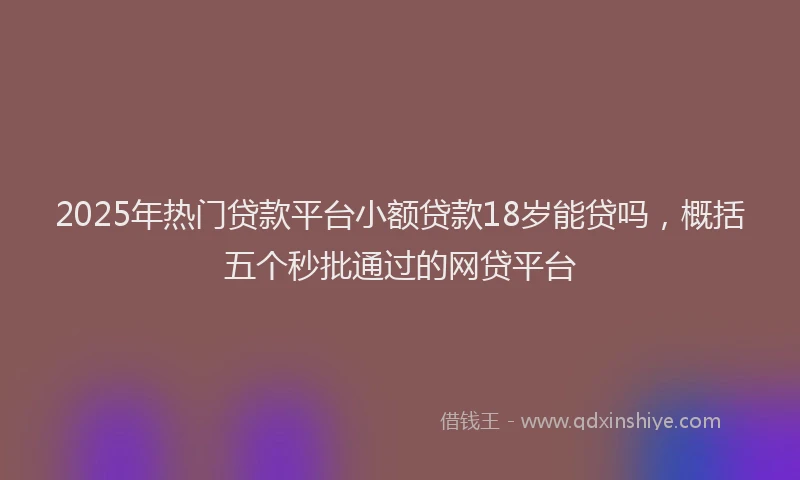2025年热门贷款平台小额贷款18岁能贷吗，概括五个秒批通过的网贷平台