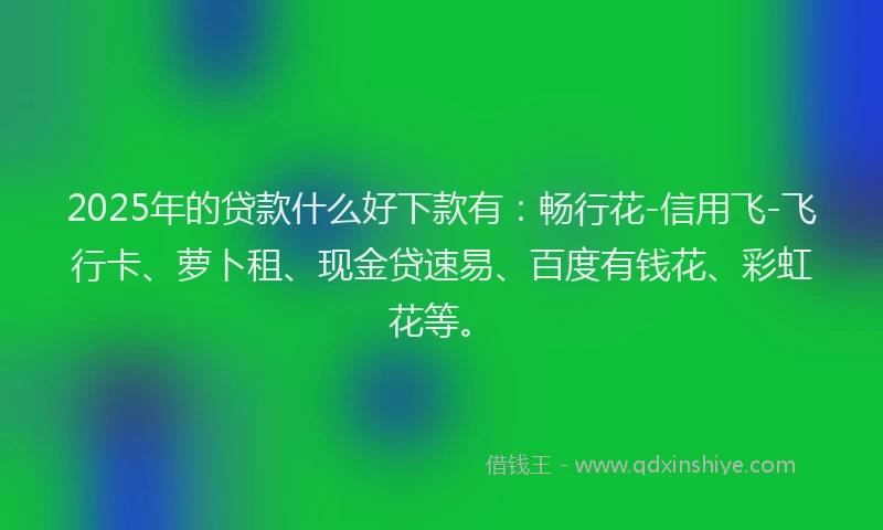 2025年的贷款什么好下款有：畅行花-信用飞-飞行卡、萝卜租、现金贷速易、百度有钱花、彩虹花等。