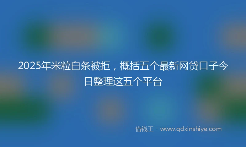 2025年米粒白条被拒，概括五个最新网贷口子今日整理这五个平台