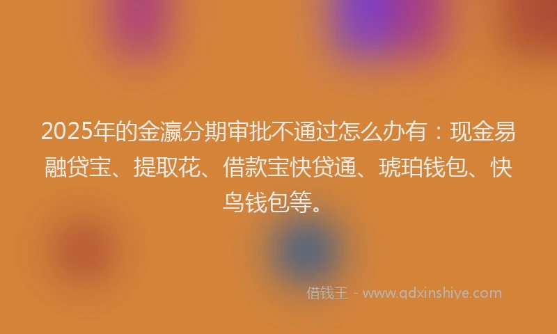 2025年的金瀛分期审批不通过怎么办有：现金易融贷宝、提取花、借款宝快贷通、琥珀钱包、快鸟钱包等。
