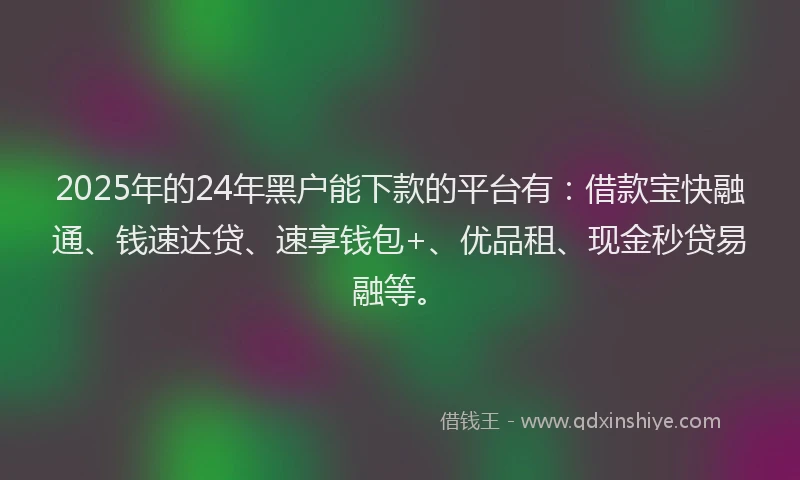 2025年的24年黑户能下款的平台有：借款宝快融通、钱速达贷、速享钱包+、优品租、现金秒贷易融等。
