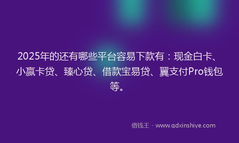 2025年的还有哪些平台容易下款有：现金白卡、小赢卡贷、臻心贷、借款宝易贷、翼支付Pro钱包等。