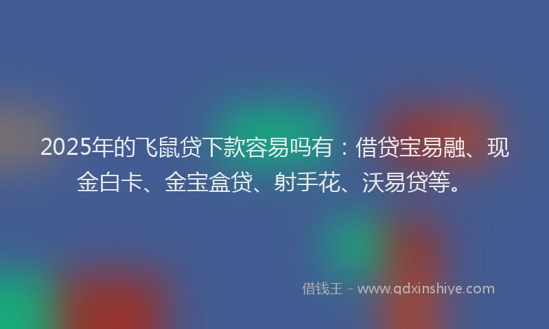 2025年的飞鼠贷下款容易吗有：借贷宝易融、现金白卡、金宝盒贷、射手花、沃易贷等。