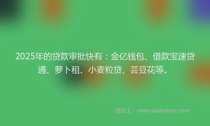 2025年的贷款审批快有：金亿钱包、借款宝速贷通、萝卜租、小麦粒贷、芸豆花等。