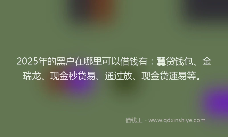 2025年的黑户在哪里可以借钱有：翼贷钱包、金瑞龙、现金秒贷易、通过放、现金贷速易等。
