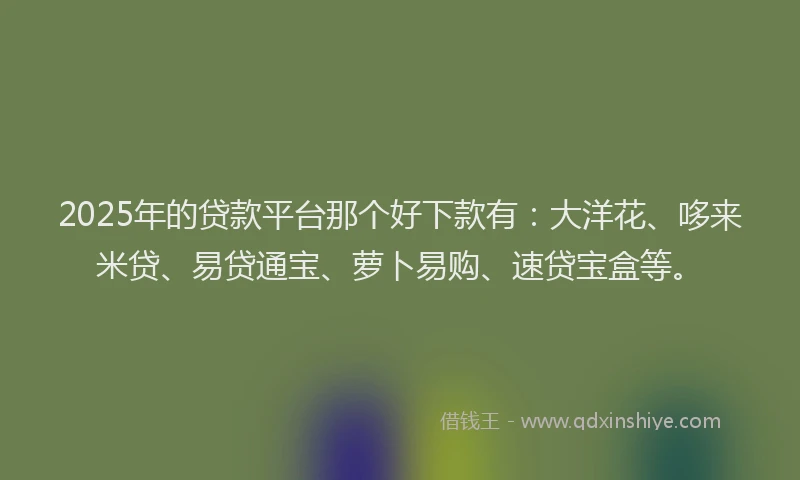 2025年的贷款平台那个好下款有：大洋花、哆来米贷、易贷通宝、萝卜易购、速贷宝盒等。