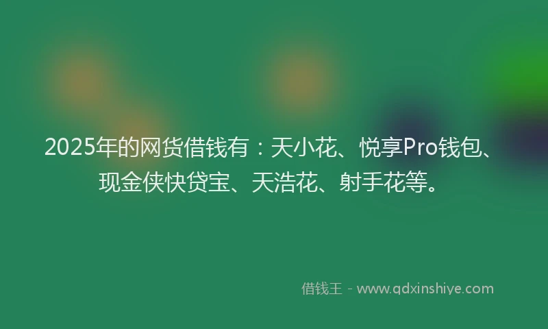 2025年的网货借钱有：天小花、悦享Pro钱包、现金侠快贷宝、天浩花、射手花等。