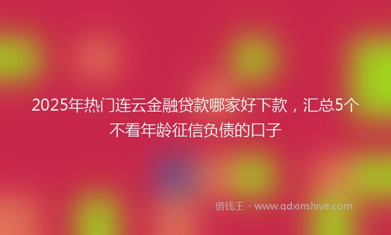 2025年热门连云金融贷款哪家好下款，汇总5个不看年龄征信负债的口子