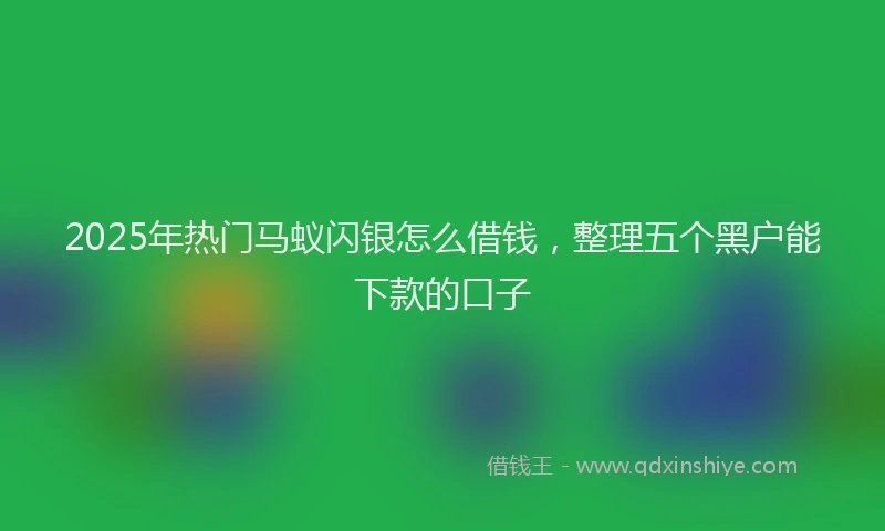 2025年热门马蚁闪银怎么借钱，整理五个黑户能下款的口子