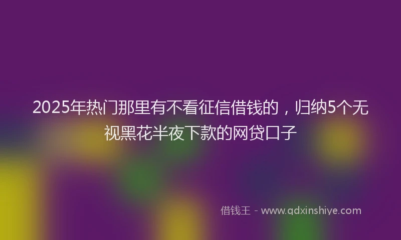2025年热门那里有不看征信借钱的，归纳5个无视黑花半夜下款的网贷口子