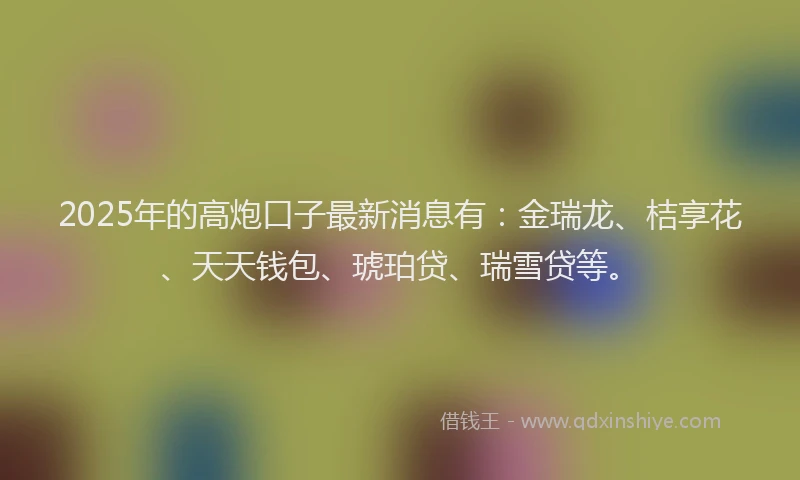 2025年的高炮口子最新消息有：金瑞龙、桔享花、天天钱包、琥珀贷、瑞雪贷等。