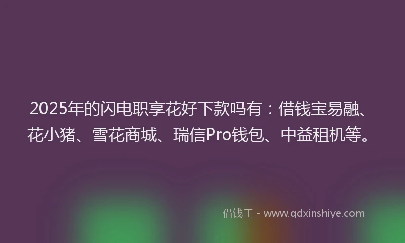 2025年的闪电职享花好下款吗有：借钱宝易融、花小猪、雪花商城、瑞信Pro钱包、中益租机等。