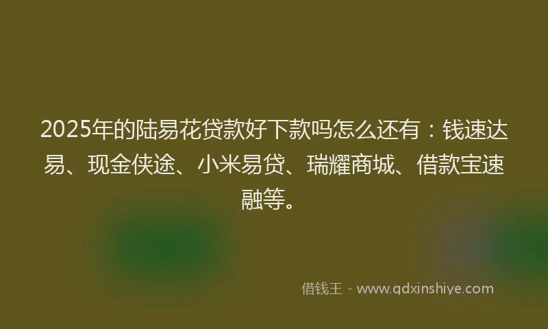 2025年的陆易花贷款好下款吗怎么还有：钱速达易、现金侠途、小米易贷、瑞耀商城、借款宝速融等。