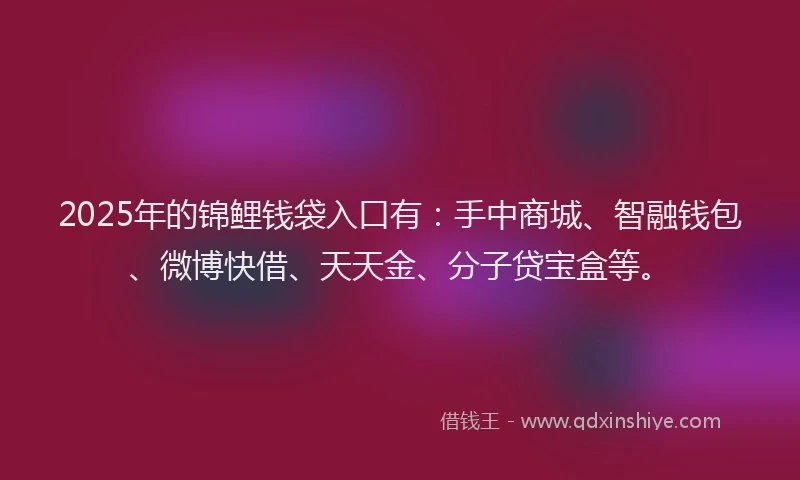 2025年的锦鲤钱袋入口有：手中商城、智融钱包、微博快借、天天金、分子贷宝盒等。