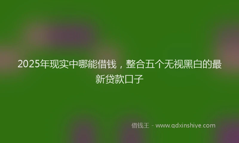 2025年现实中哪能借钱，整合五个无视黑白的最新贷款口子