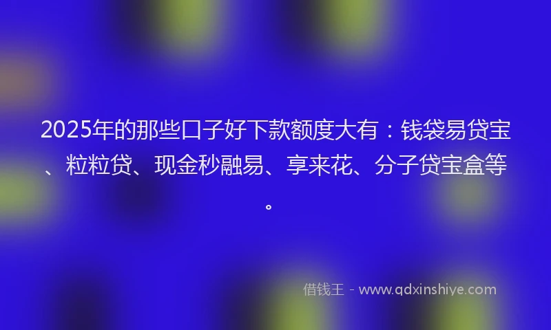 2025年的那些口子好下款额度大有：钱袋易贷宝、粒粒贷、现金秒融易、享来花、分子贷宝盒等。