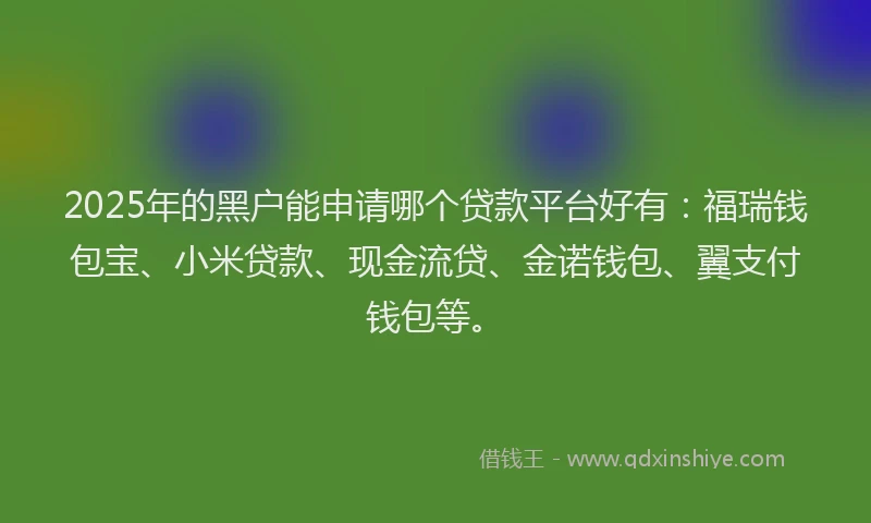 2025年的黑户能申请哪个贷款平台好有：福瑞钱包宝、小米贷款、现金流贷、金诺钱包、翼支付钱包等。