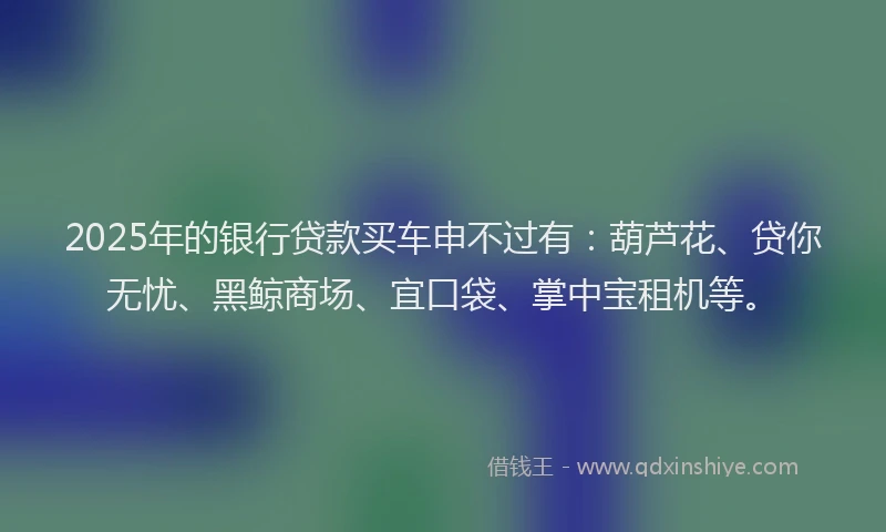 2025年的银行贷款买车申不过有：葫芦花、贷你无忧、黑鲸商场、宜口袋、掌中宝租机等。
