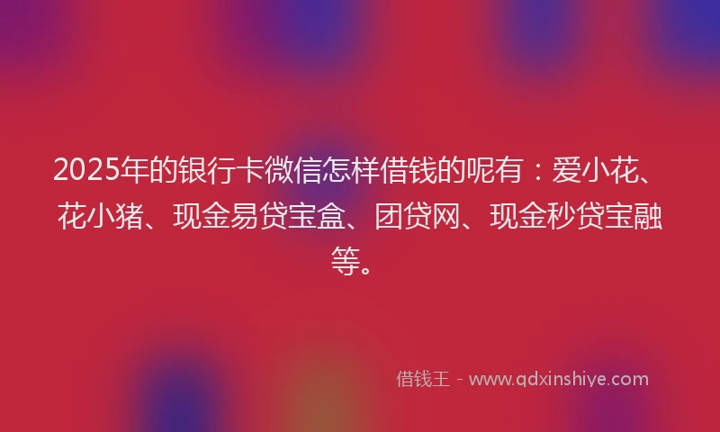 2025年的银行卡微信怎样借钱的呢有：爱小花、花小猪、现金易贷宝盒、团贷网、现金秒贷宝融等。