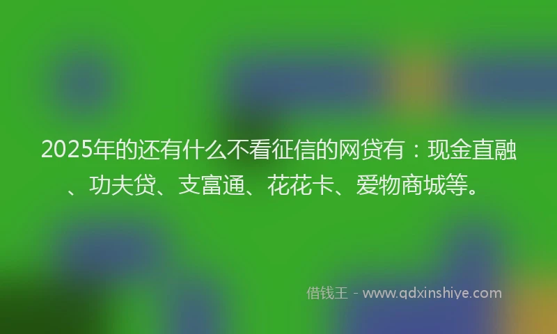 2025年的还有什么不看征信的网贷有：现金直融、功夫贷、支富通、花花卡、爱物商城等。