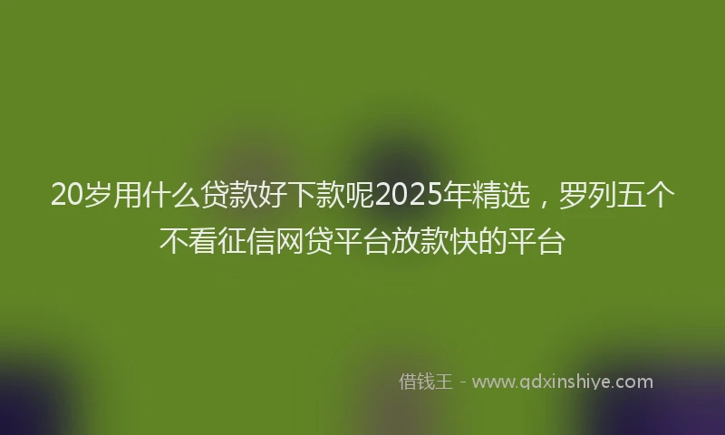 20岁用什么贷款好下款呢2025年精选，罗列五个不看征信网贷平台放款快的平台