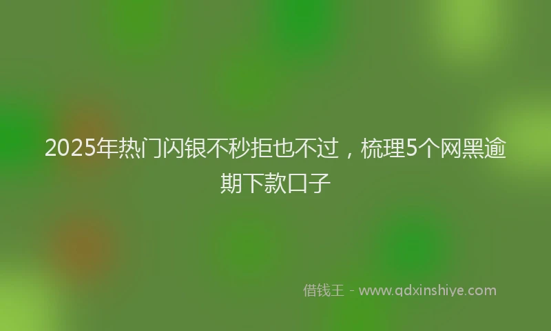 2025年热门闪银不秒拒也不过，梳理5个网黑逾期下款口子