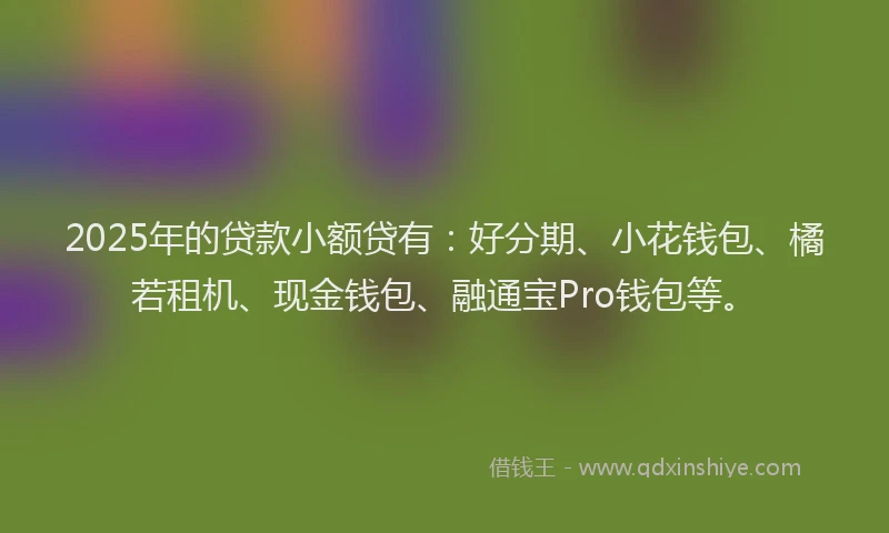 2025年的贷款小额贷有：好分期、小花钱包、橘若租机、现金钱包、融通宝Pro钱包等。