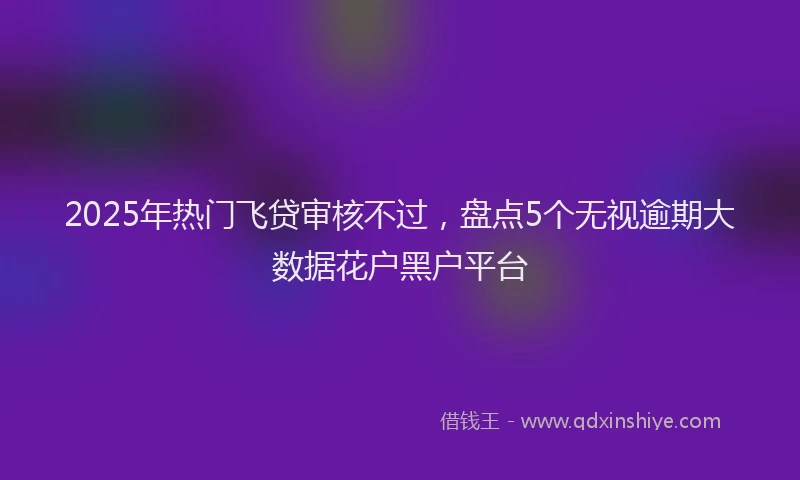 2025年热门飞贷审核不过，盘点5个无视逾期大数据花户黑户平台