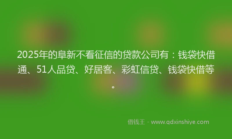 2025年的阜新不看征信的贷款公司有：钱袋快借通、51人品贷、好居客、彩虹信贷、钱袋快借等。
