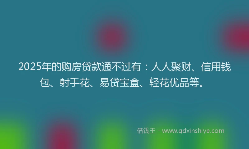 2025年的购房贷款通不过有：人人聚财、信用钱包、射手花、易贷宝盒、轻花优品等。