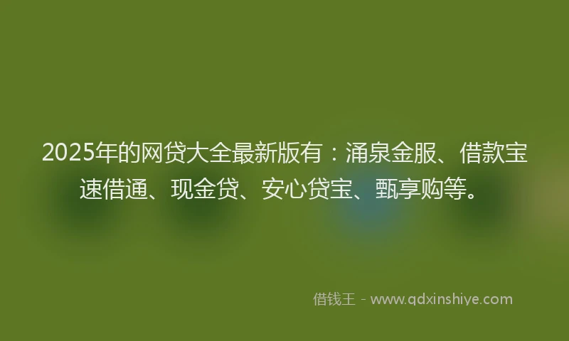 2025年的网贷大全最新版有：涌泉金服、借款宝速借通、现金贷、安心贷宝、甄享购等。