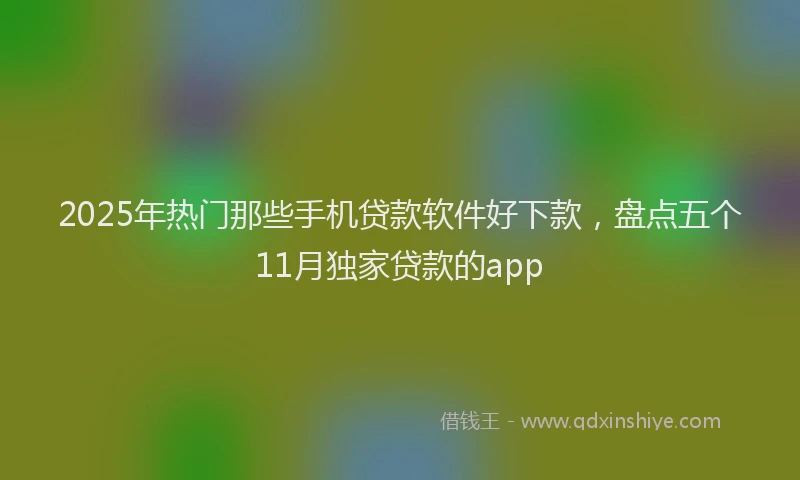 2025年热门那些手机贷款软件好下款，盘点五个11月独家贷款的app