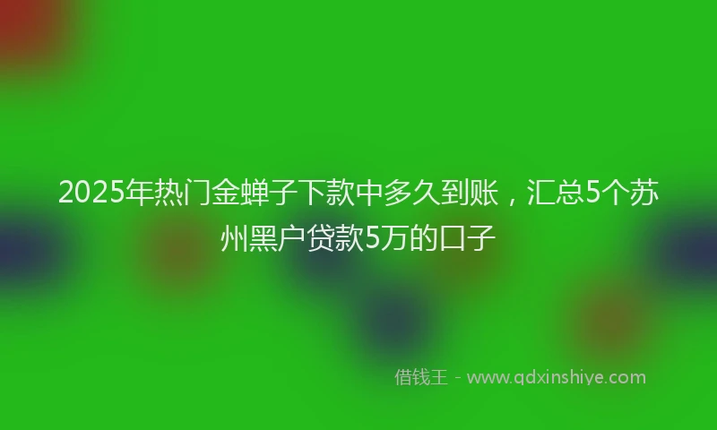 2025年热门金蝉子下款中多久到账，汇总5个苏州黑户贷款5万的口子