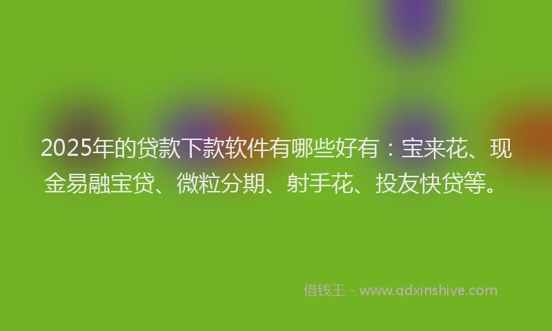 2025年的贷款下款软件有哪些好有：宝来花、现金易融宝贷、微粒分期、射手花、投友快贷等。
