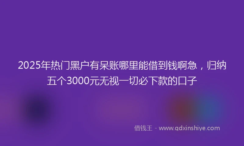 2025年热门黑户有呆账哪里能借到钱啊急，归纳五个3000元无视一切必下款的口子