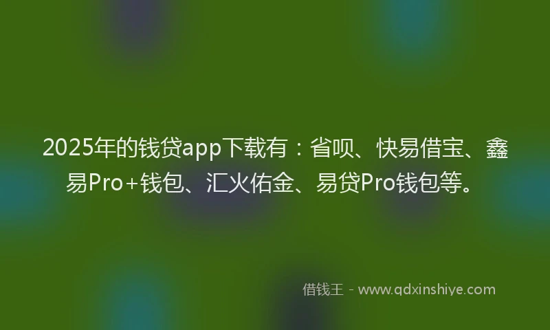 2025年的钱贷app下载有：省呗、快易借宝、鑫易Pro+钱包、汇火佑金、易贷Pro钱包等。