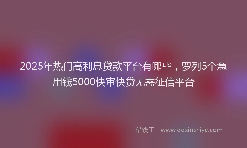 2025年热门高利息贷款平台有哪些，罗列5个急用钱5000快审快贷无需征信平台