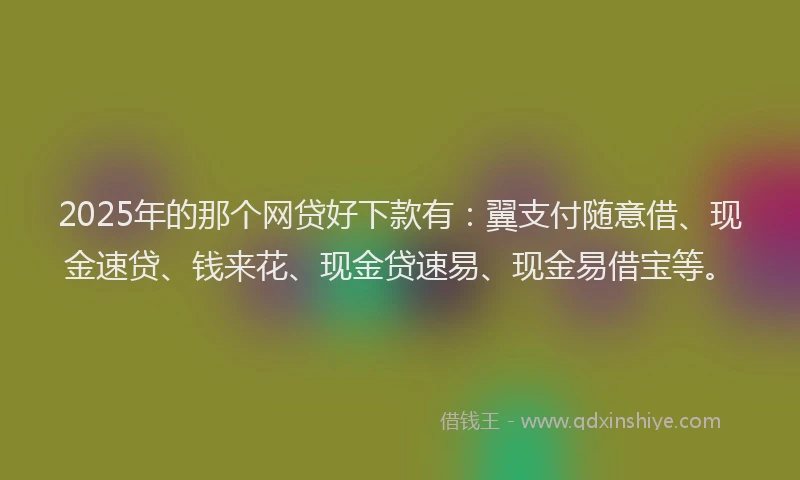 2025年的那个网贷好下款有：翼支付随意借、现金速贷、钱来花、现金贷速易、现金易借宝等。
