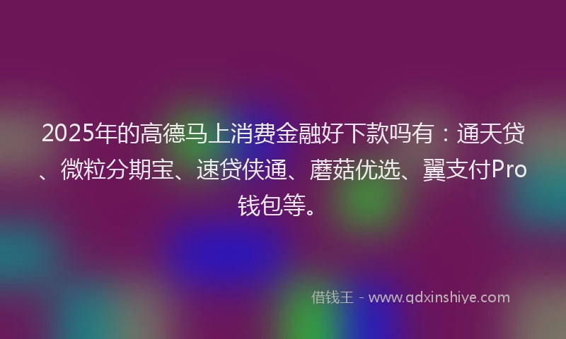 2025年的高德马上消费金融好下款吗有：通天贷、微粒分期宝、速贷侠通、蘑菇优选、翼支付Pro钱包等。
