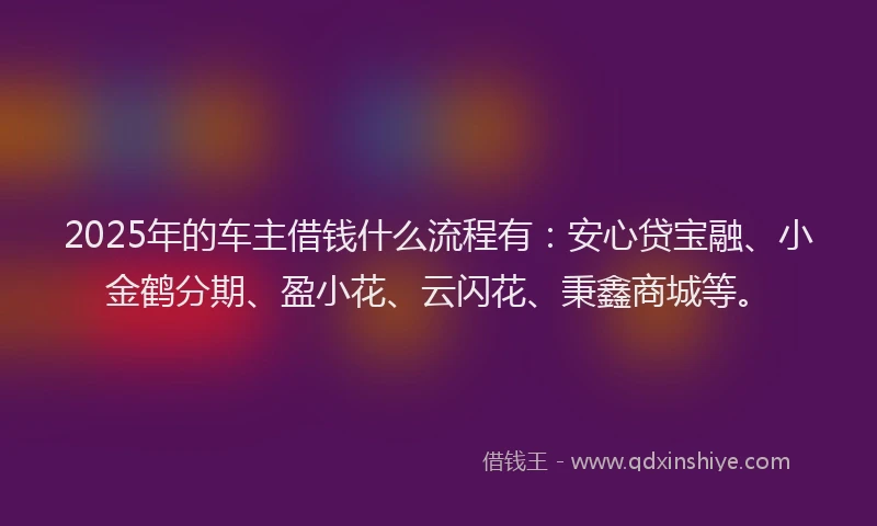 2025年的车主借钱什么流程有：安心贷宝融、小金鹤分期、盈小花、云闪花、秉鑫商城等。