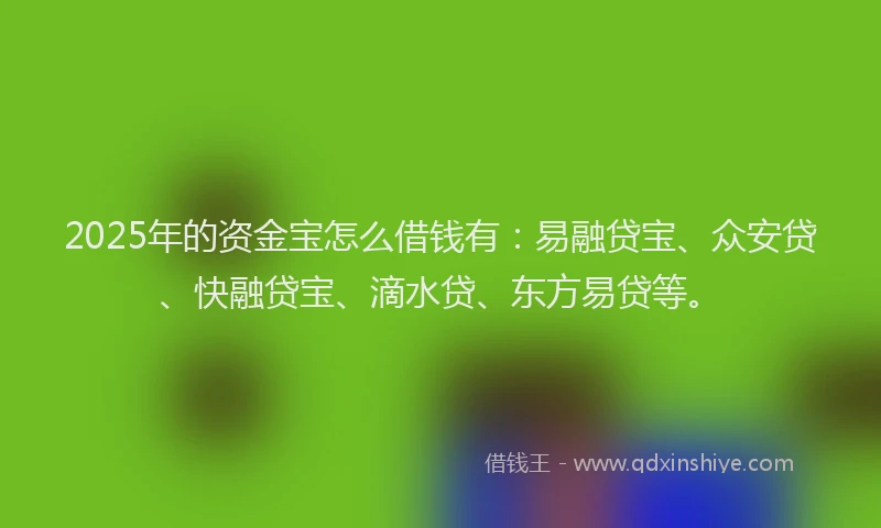 2025年的资金宝怎么借钱有：易融贷宝、众安贷、快融贷宝、滴水贷、东方易贷等。