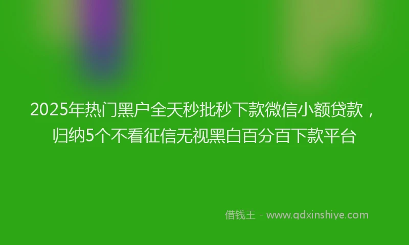 2025年热门黑户全天秒批秒下款微信小额贷款，归纳5个不看征信无视黑白百分百下款平台