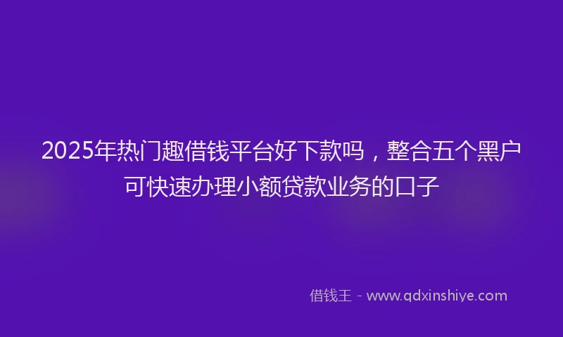 2025年热门趣借钱平台好下款吗，整合五个黑户可快速办理小额贷款业务的口子